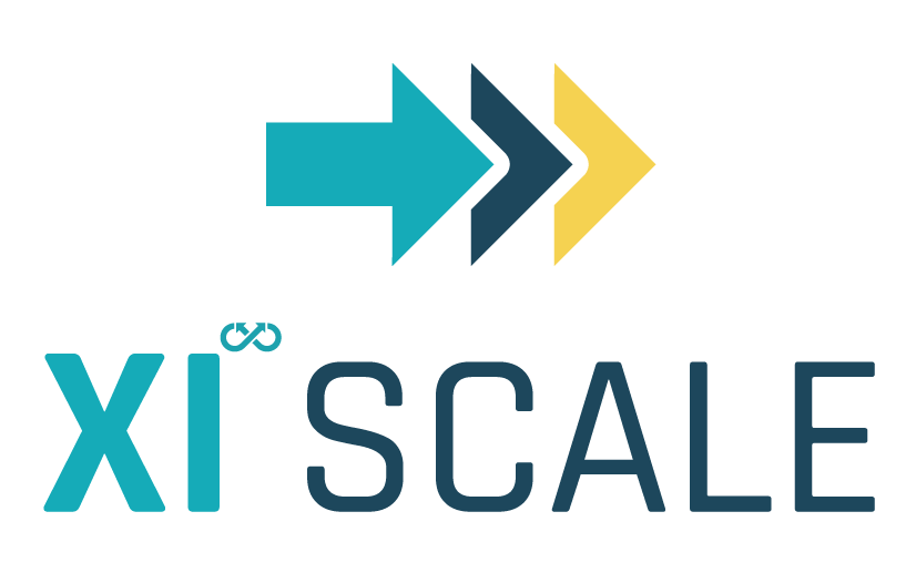 XI Scale